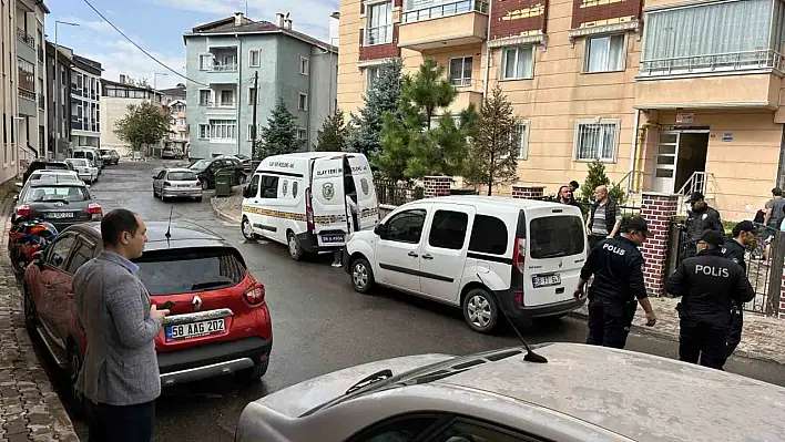 Sivas'ta 80 yaşındaki şahıs kedi yüzünden dehşet saçtı!