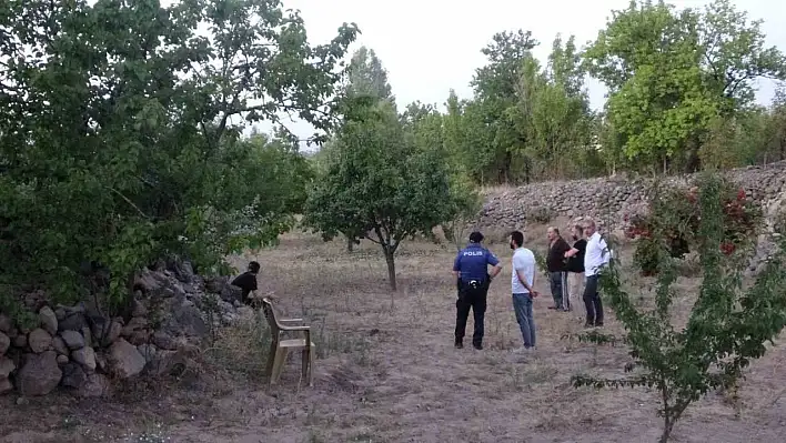 Ağacı budayım derken hayatını kaybettii