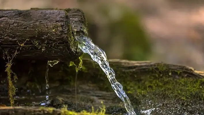 Acı ama şifalı: Kayseri'nin gizli suyu Guatr'a iyi geliyor mu?