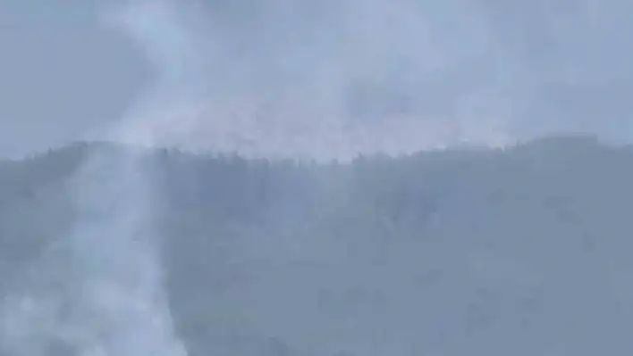 Aladağ'da orman yangını: Çalışmalar sürüyor!