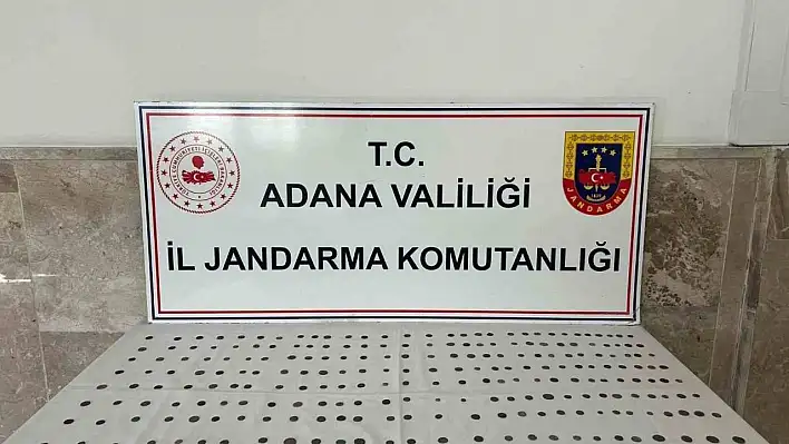 Adana'da sikkeler ele geçirildi