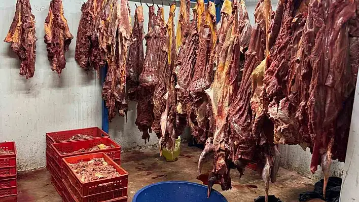 Adana'da tonlarca at eti ele geçirildi!