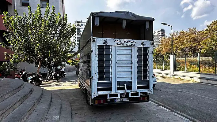 30 milyonluk kaçak sigara ele geçirildi