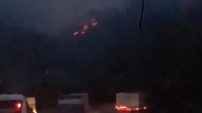 Adana'da iki ayrı noktada orman yangını