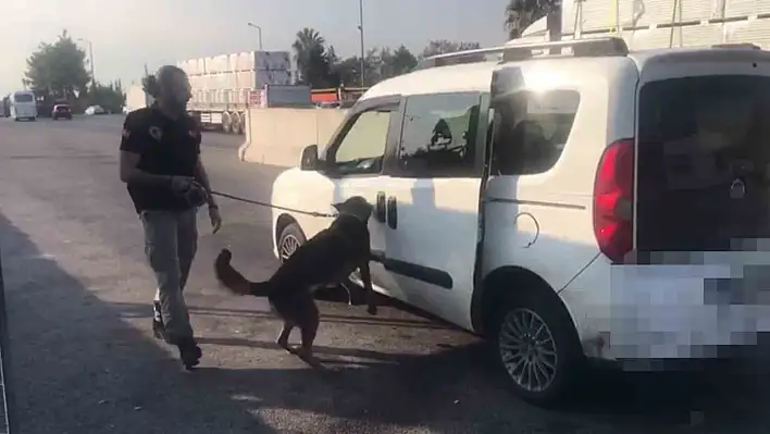 Narkotik polisi Adana'da büyük operasyon yaptı!