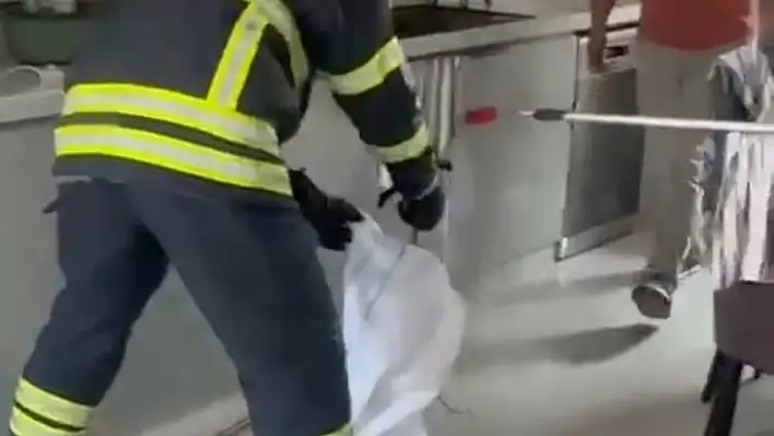 Adana'da mutfaktan yılan çıktı