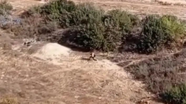 Kesinleşmiş hapis cezalı şahıs Adana'da polisi peşine taktı