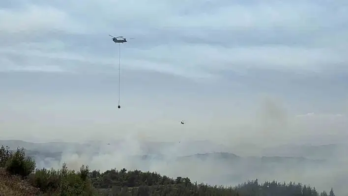 Adana'da orman yangını