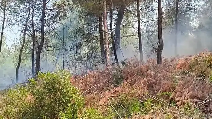 İmamoğlu'nda Orman Yangını