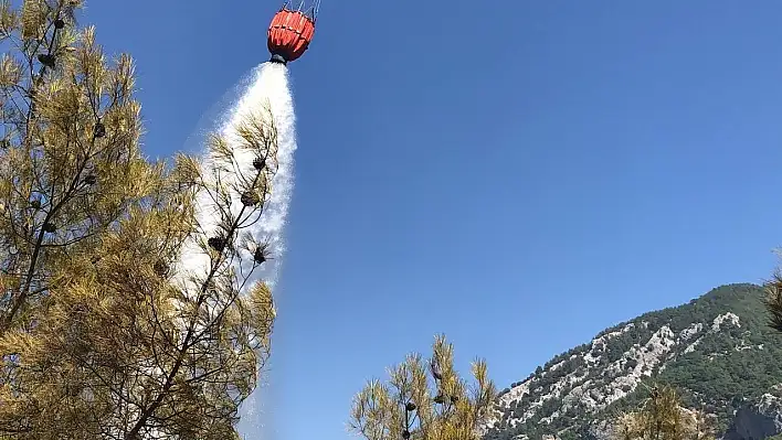 Adana'da orman yangını söndürüldü