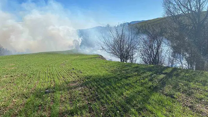 Adana'da orman yangını- Müdahale sürüyor!