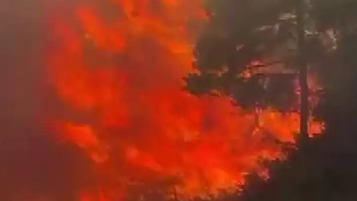 Adana Kozan'da korkutan yangın: Yerleşim yerlerine yaklaştı