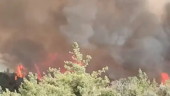 Adana'da orman yangına ekiplerin müdahalesi sürüyor!