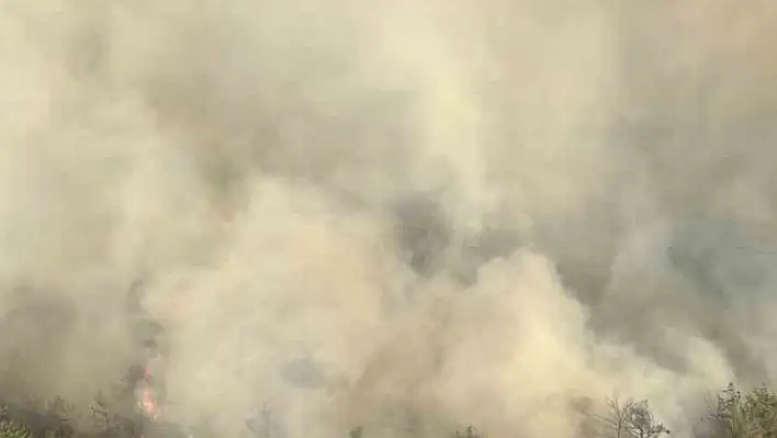 Adana'da orman yangınına çok sayıda hava aracı müdahale ediyor!