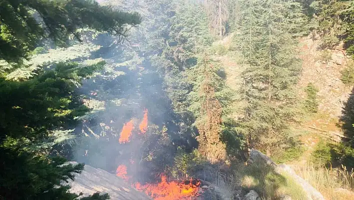 Adana'da ormanlık alanda yangın çıktı!