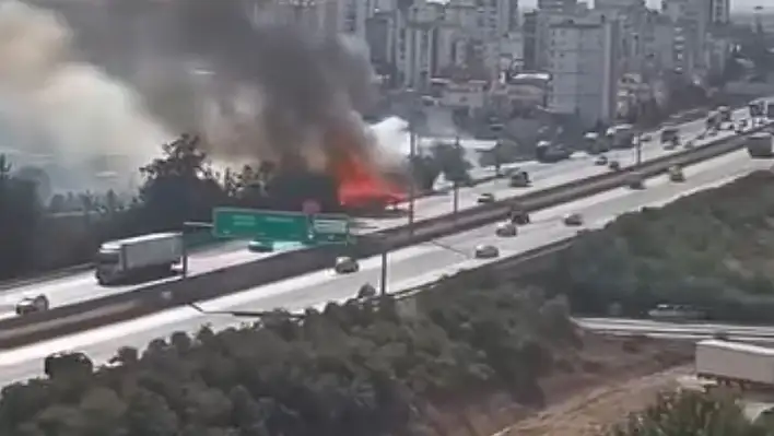 Adana'da otluk alanda yangın!