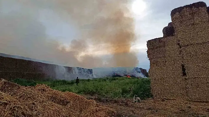 Saman Balyaları Ateş Aldı!