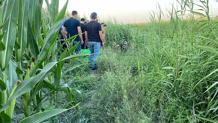 Adana'da gizemli ölüm: 35 yaşındaki adam sazlıkta ölü bulundu