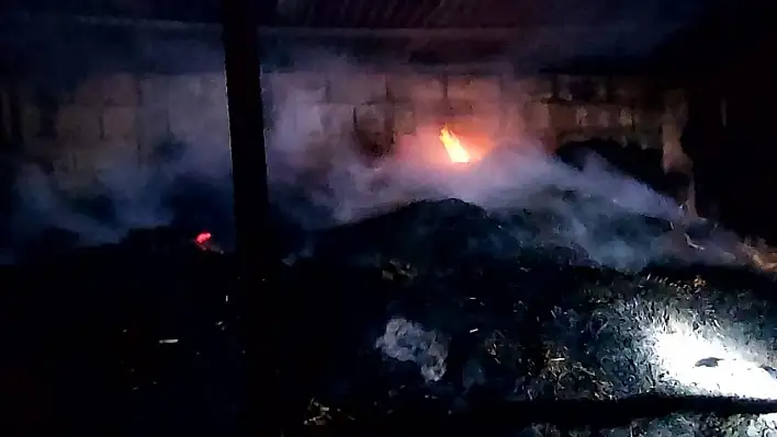 Yangında 5 inek telef oldu