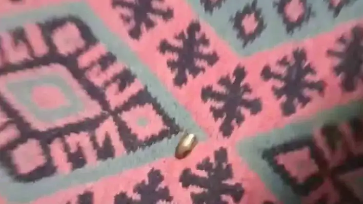 Yorgun mermi, ailenin oturduğu çardağa isabet etti!