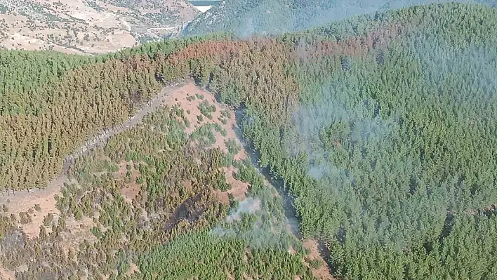 Adana'daki orman yangını kontrol altına alındı