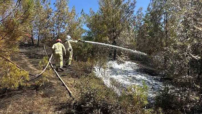 Adana'daki orman yangını kontrol altına alındı: Ekiplerin çalışmaları sürüyor!