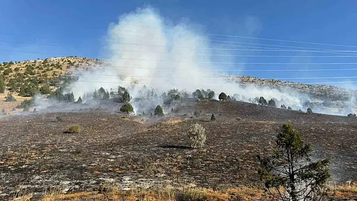 Adana'daki orman yangınında sevindiren gelişme!