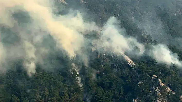 Adana'daki orman yangınları kontrol altında!