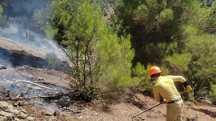 Feke'deki yangın kontrol altına alındı