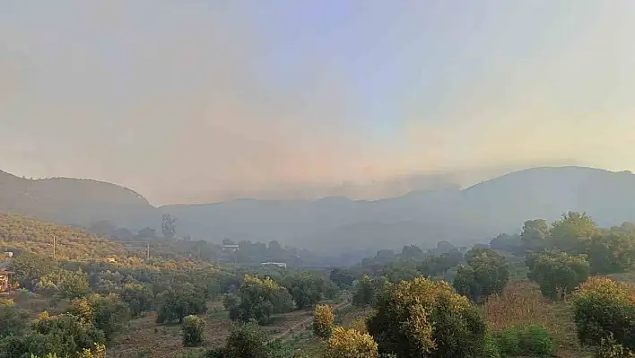 Adana Kozan'da Çıkan Yangına Müdahaleler Sürüyor!