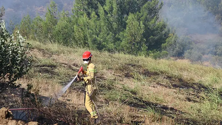 Adana Kozan'da Yangın Panik Yarattı - Evlere Sıçradı!