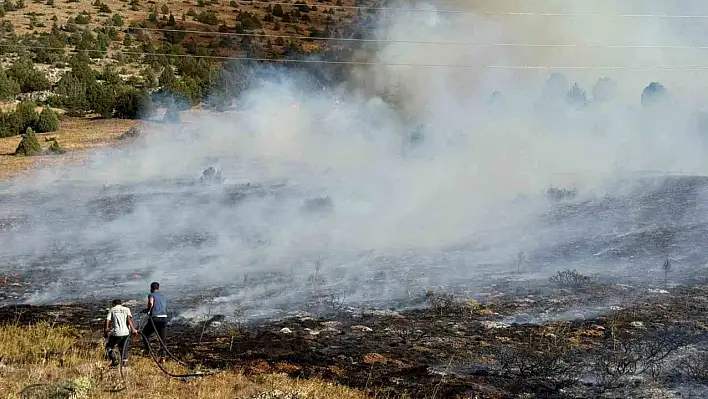 Anız yangını ormanlık alana sıçradı