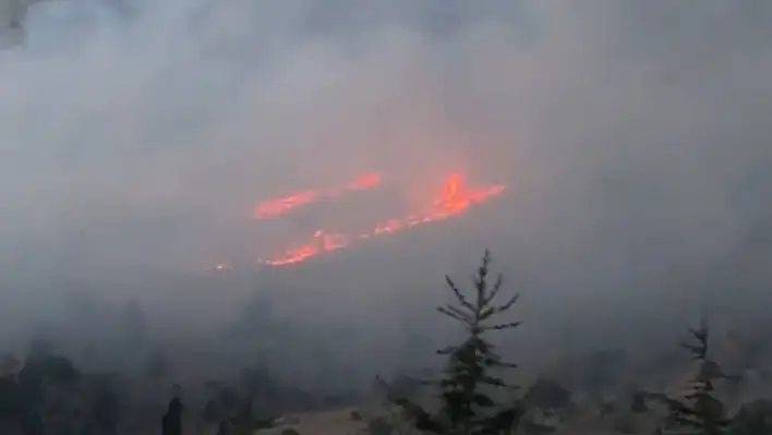 Kahramanmaraş'ta orman yangını