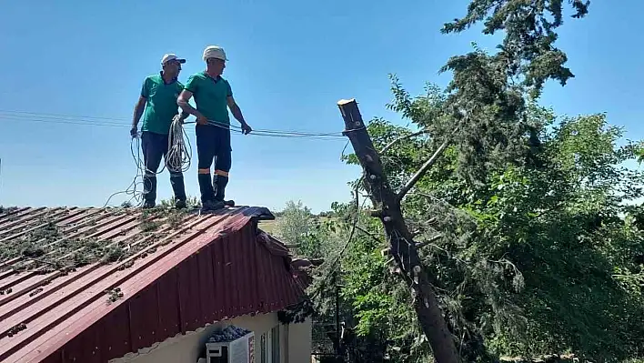 Ağaç lojmanın üzerine devrildi, ekipler kaldırdı