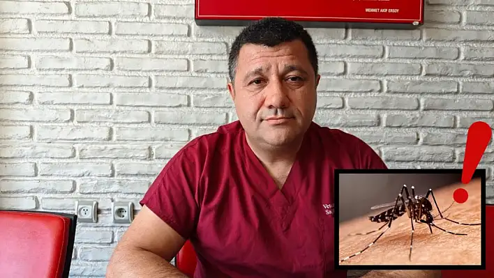 Akgün Ergül çoğalan sineklere çözümü böyle anlattı!