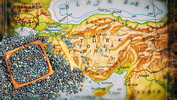 Anadolu'dan Avrupa'ya uzanan lezzet: Menengiç