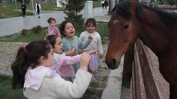 Hayvanat bahçesi ara tatilde büyük ilgi gördü