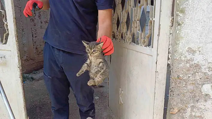 Aracın motorunda mahsur kaldı! Yavru kediye itfaiye sahip çıktı