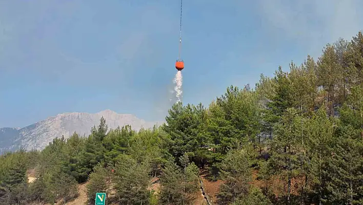 Adana'da korkutan yangın