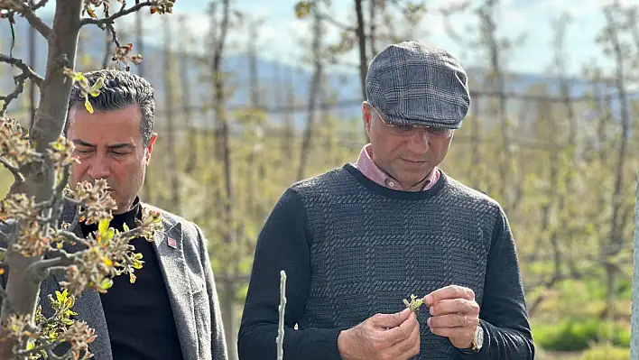 Aşkın Genç: 'Çiftçiye destek şart, bu yıl elma yok'