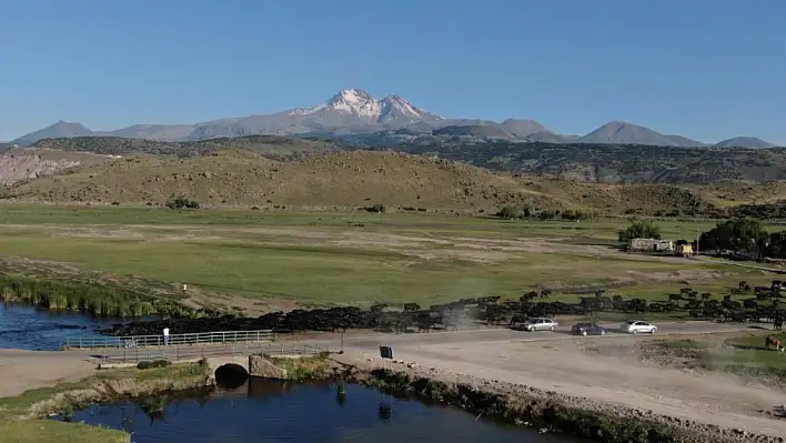 Atıkları, hayvanları öldürüyordu! Kayseri'deki o işletmelere ceza yağmuru...