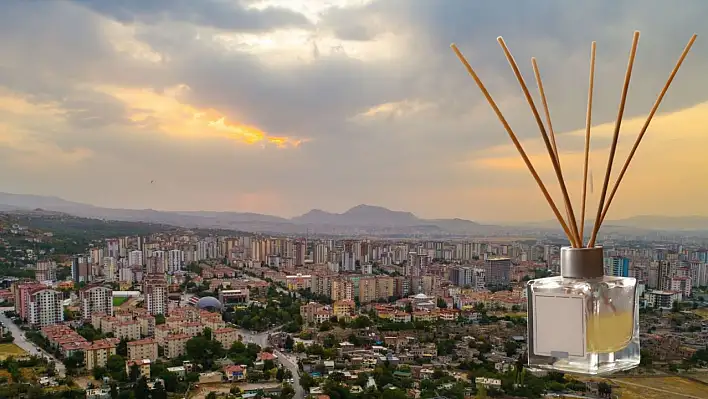 Bakanlık açıkladı: Bu iki oda kokusu sağlık açısından riskli – Piyasadan toplatılıyor!