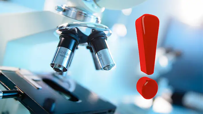 Bakanlıktan açıklama geldi: Türkiye'de Vibrio bakterisi görüldü mü?