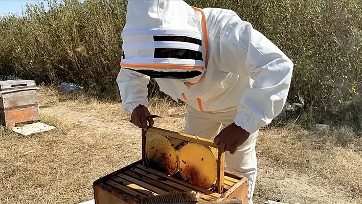 Bakın Türkiye'de kaç tescilli bal türü var!