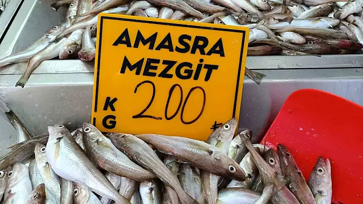 Palamuta rağbet var ama palamut yok