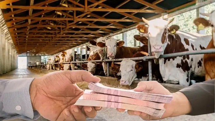 Banka kredisiyle kurban kesilir mi? İşte merak edilen sorunun cevabı...