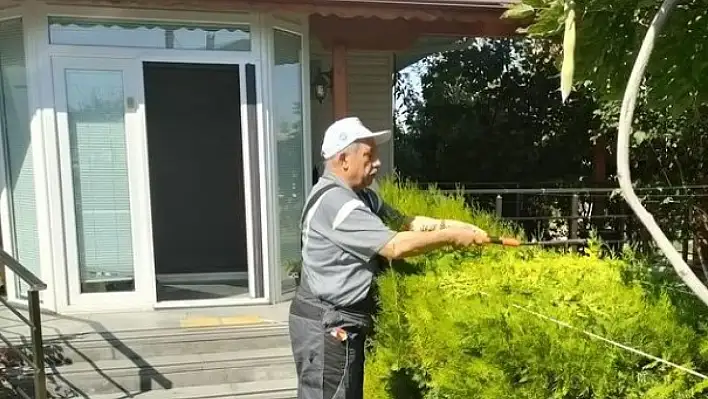 Başkan aldı eline makası çalı budadı...