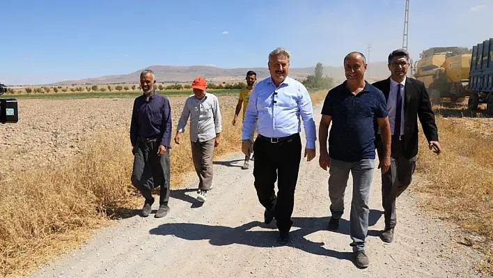 Aspir tohumları hasat edilmeye başlandı