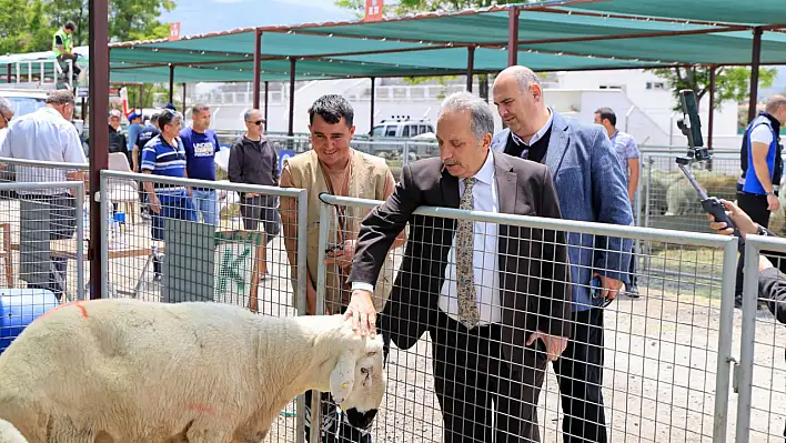 Başkan Yalçın'dan kurban pazarı ziyareti: 'Alın teri, helal kazanç'