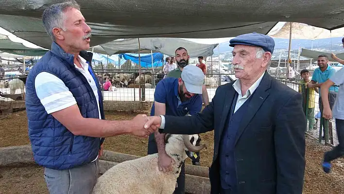 Kurban pazarında kıran kırana pazarlık başladı!